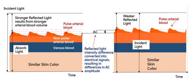 AECG100 also provides the capability to allow users to adjust the AC level to simulate different arterial blood volume. AECG100 also provides the capability to allow users to adjust the AC level to simulate different arterial blood volume.