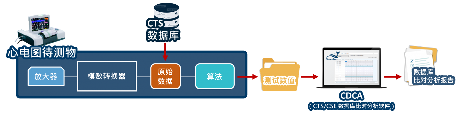 CTS 数据库数字测试